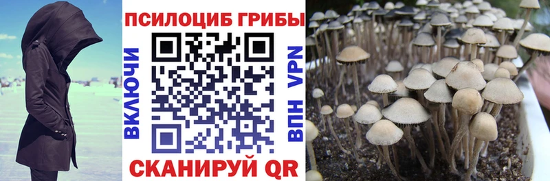 цена наркотик  Белгород  Псилоцибиновые грибы Psilocybe 