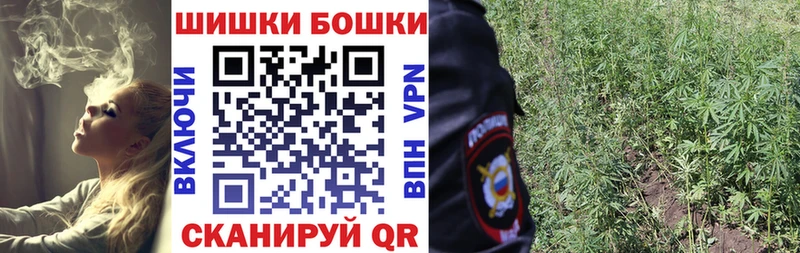 Бошки Шишки семена  площадка как зайти  Белгород 